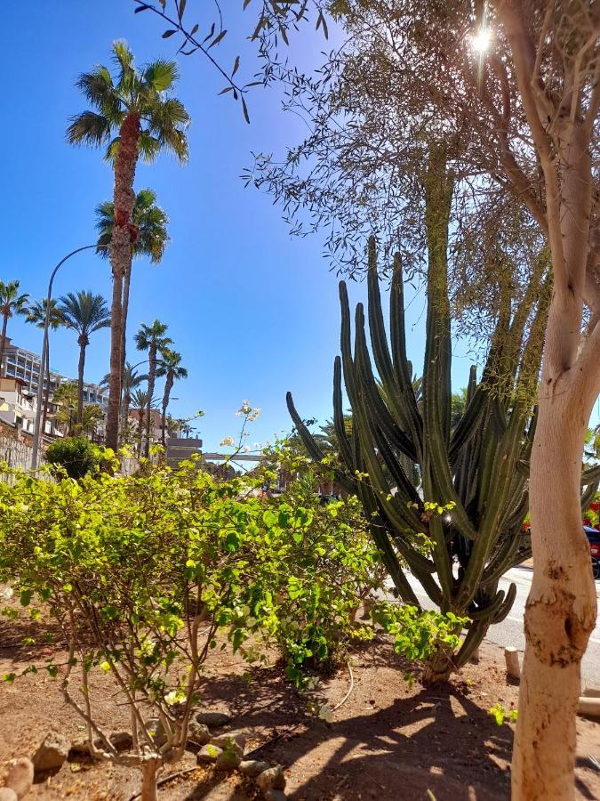 شقة Vista Bella - Planta Baja Al Lado De La Piscina - Ground Floor By The Pool بلايا ذيل كورا المظهر الخارجي الصورة